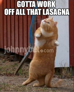 That lasagna memes
