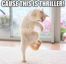 This is thriller memes