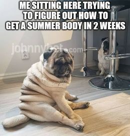 Summer body funny memes