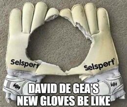 New gloves memes