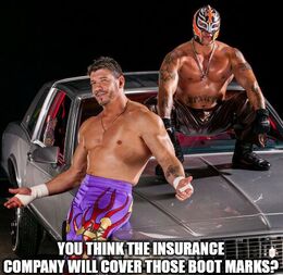 The insurance company memes