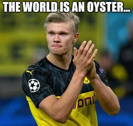 Oyster memes