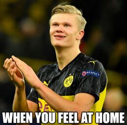 Feel at home memes