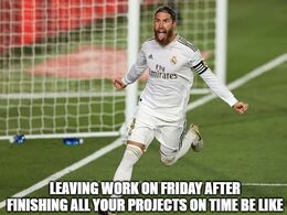 Your projects memes