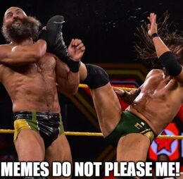 Do not please memes