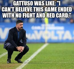 Gattuso memes