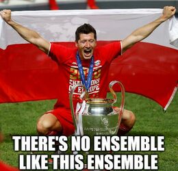 Ensemble memes