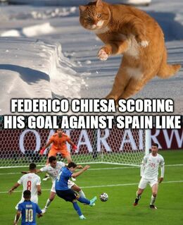 Against spain memes
