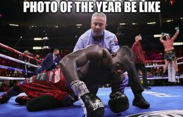 Of the year memes