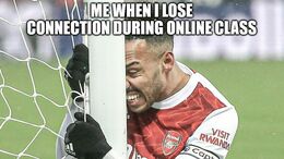 Online class memes