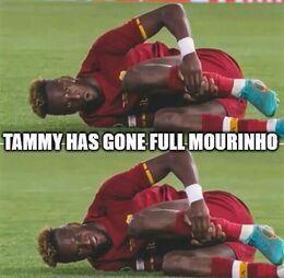 Tammy memes