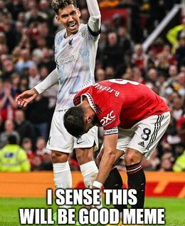 Sense memes