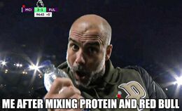 Protein memes
