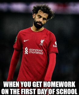 Homework memes