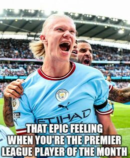 Premier league player memes