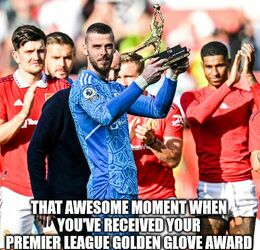 Golden glove award memes