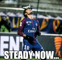 Steady memes