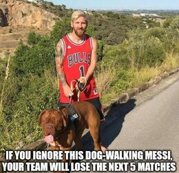 Dog walking memes
