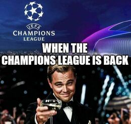 Is back memes