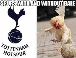 Spurs with memes
