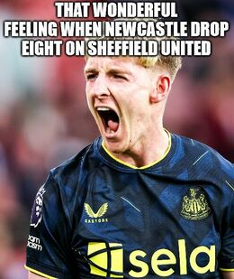 Sheffield united memes
