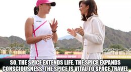 The spice memes