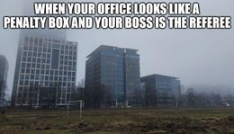 Your boss memes