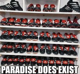 Paradise memes