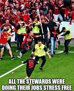 Stewards memes