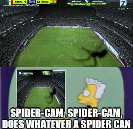 Spider can memes