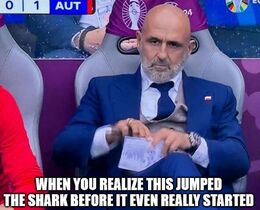 Shark memes