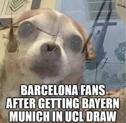 Ucl draw memes