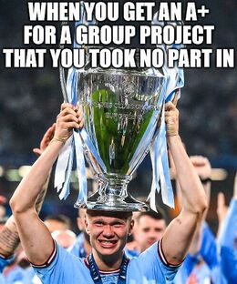 Group project memes