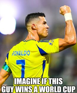 Wins a world cup memes