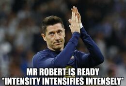 Mr robert memes