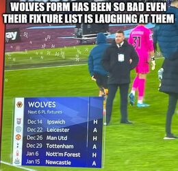 Wolves form memes