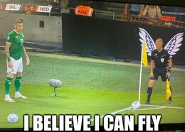 Can fly memes