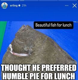 For lunch memes