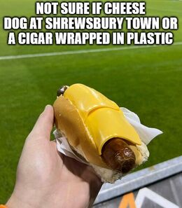 Cheese dog memes