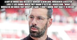 New dog memes