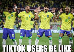 Tiktok users memes