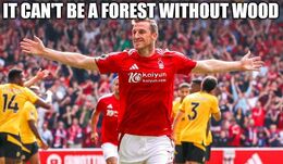 Wood memes