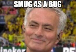 Bug memes