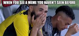 Seen before memes