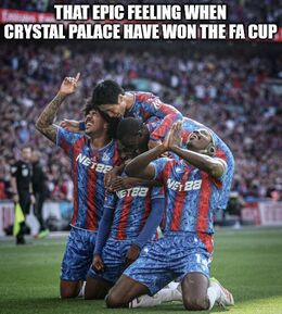 Won the fa cup memes