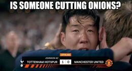 Someone cutting onions memes