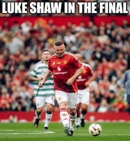 Shaw memes