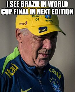 See brazil memes