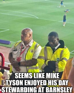 Stewarding memes