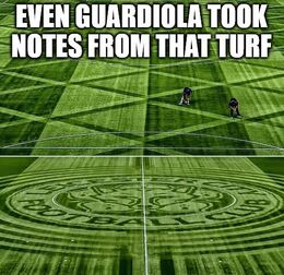 Turf memes